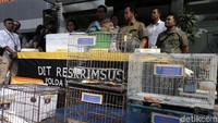 Kabid Humas Polda Metro Jaya Kombes Raden Prabowo Argo Yuwono memberikan keterangan pers di Polda Metro Jaya, Jakarta, Rabu (26/9).