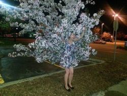 Trik Kreatif Hasilkan Foto yang Bikin Mata Bingung