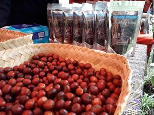 Ini Keunikan Kopi Merapi Sleman yang Disukai Orang Eropa
