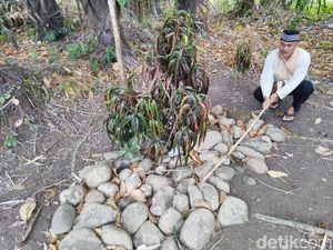 Foto: Tempat Ritual Minta Jabatan di Ciamis