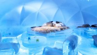 Foto: Mereka menciptakan hotel es dengan nama Ice Village yang dibangun di Kota Shimukappu selama bulan Januari dan Februari tahun depan. (Ice Village)