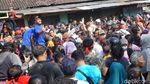 Aksi Peternak Bagi-bagi Ayam Gratis karena Harga Anjlok