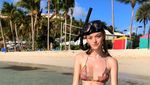 Foto: Liburan Willow Hand, Model Victorias Secret Termuda