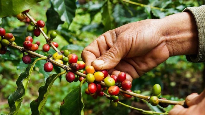 Foto: Istock Foto: Istock