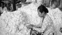 Seorang pekerja sedang mempersiapkan kapas yang akan dipintal menjadi benang gelendong di sebuah pabrik di kota Bandung sekitar tahun 1955.  