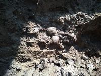 Penemuan Benda Kuno di Lombok Timur Ternyata Tidak Diumumkan, Kenapa?