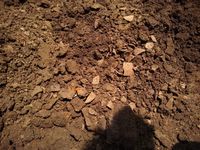 Penemuan Benda Kuno di Lombok Timur Ternyata Tidak Diumumkan, Kenapa?