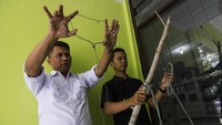 Petugas BBKSDA pun telah mengamankan satu orang berinisial E yang mengaku memasang jerat yang menewaskan harimau Sumatera itu. Berdasar pengakuannya, E memasang jerat untuk menangkap hama babi hutan. Untuk mengantisipasi kejadian serupa, pihak BBKSDA mengingatkan dan mensosialisasikan kepada warga untuk tidak memasang jerat agar tidak terkena satwa yang dilindungi. Antara Foto/FB Anggoro.