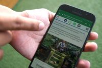 Ramai Larangan Foto Tidak Senonoh di Bali, Bagaimana Ceritanya?