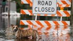Dampak Badai Florence, Banjir Rendam Wilayah South Carolina AS