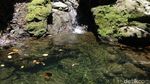 Foto: Curug Panganten yang Eksotis di Ciamis