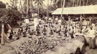 Sejumlah pekerja tampak sedang mengumpulkan batu grafit di Hunupitaya sekitar tahun 1900.  