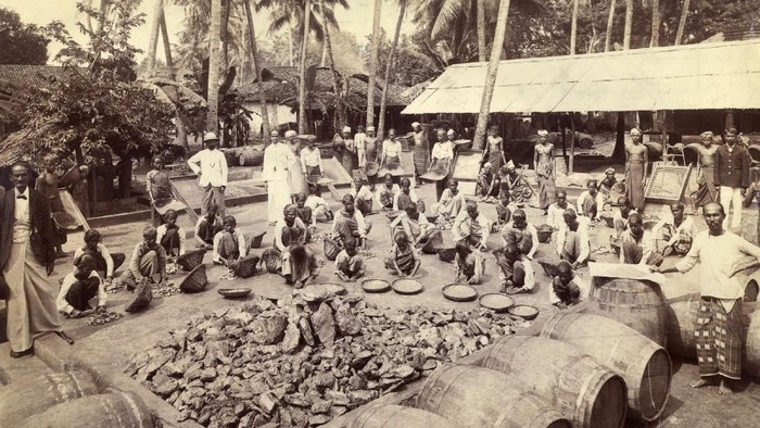 Melihat kumpulan foto lama kehidupan masyarakat Indonesia tempo dulu selalu menyenangkan. Salah satunya melihat potret para pekerja di masa lalu. Penasaran?