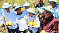 Ia pun langsung memakan melon hasil panen petani setempat. Foto: dok. BRI