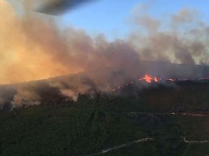 Kebakaran Hutan di Sisilia Meluas ke Permukiman, Warga Dievakuasi