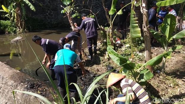 Gerakan memungut sampah di Kabupaten Semarang. 