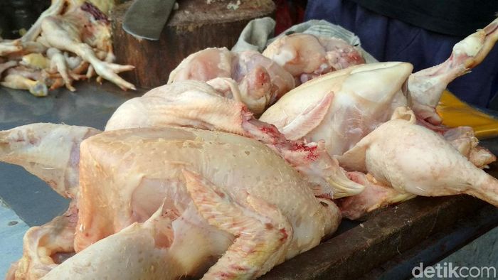 Duh Harga Daging Ayam Tembus Rp 52 000 Ekor