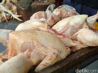 Harga Ayam Anjlok, Peternak Teriak