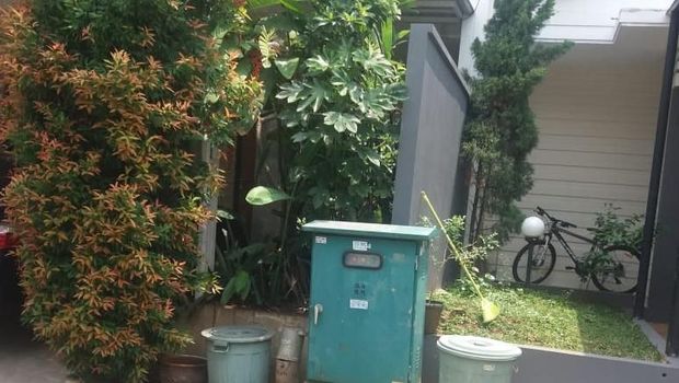 Ini Penampakan Pohon yang Bikin Jaksa Gugat Tetangganya Rp 2,6 M