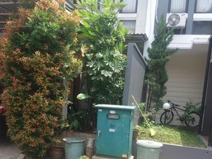 Muncul Koin untuk Pak Jaksa karena Jaksa Gugat Tetangga Rp 2,6 M