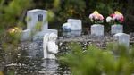 Dampak Badai Florence, Banjir Rendam Wilayah South Carolina AS