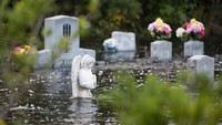 Pemakaman di wilayah Bucksport, South Carolina, Amerika Serikat terendam banjir akibat luapan air Sungai Waccamaw. Sean Rayford/Getty Images.