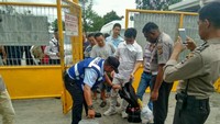 Mereka diberangkatkan dari kantor Imigrasi menuju Nabire dengan menggunakan pesawat. 