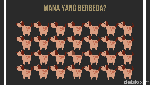 Temukan Gambar yang Beda! Gagal Berarti Kamu Lelah