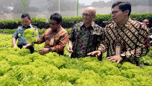 Rumah Hijau Hidroponik untuk Pensiunan TNI
