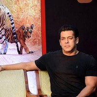 Salman Khan kemudian mulai berpacaran dengan Katrina Kaif sejak 2003. Mereka pun pernah membintangi film bersama yang bertajuk Ek The Tiger dan Yuvraaj. Katrina juga diterima baik oleh keluarga Salman Khan. Foto: AFP