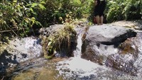 Air terjun ini memiliki air yang sangat jernih, karena langsung dihasilkan dari mata air Gunung Syawal (Dadang/detikTravel)