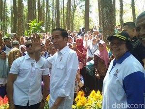 Tiba di Hutan Pinus Bantul, Jokowi Disambut Tabuhan Kentongan Bambu