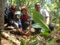 Desa Melung Juga Punya Kopi Legendaris Bercitarasa Unik