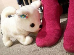 Deretan Inovasi Ajaib Jepang yang Bikin Geleng-geleng