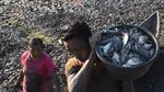 Perjuangan Warga Hadapi Kemarau di Penjuru Indonesia