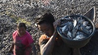 Warga memanfaatkan Waduk Saradan seluas sekitar 1.000 hektare yang mengering untuk berburu ikan. Antara Foto/Siswowidodo.