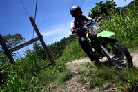 BRISPOT 'Bank Berjalan' di Perbatasan Indonesia-PNG