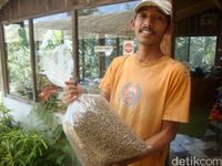 You can learn about coffee at the Coffee Philosophy Padepokan on the slopes of Mount Slamet 