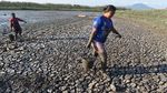 Perjuangan Warga Hadapi Kemarau di Penjuru Indonesia