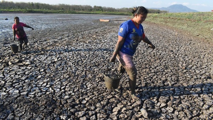 4 Kabupaten di NTT Masih Dilanda Kekeringan