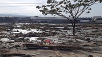Suasana pemukiman warga yang rusak akibat gempa dan tsunami Palu. Gempa yang terjadi di wilayah Donggala dan Palu itu pun memicu terjadinya tsunami di Palu, Sulawesi Tengah. Antara Foto/BNPB.