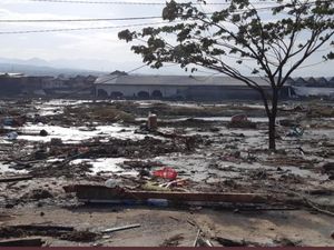 BNPB: Tinggi Tsunami Capai 5 Meter di Palu