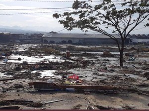BNPB: Tinggi Tsunami Capai 5 Meter di Palu