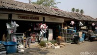 Sentra Ikan hias di Raden Inten tersebut menurut Kepala Suku Dinas Ketahanan Pangan, Kelautan, dan Pertanian (KPKP), Agung Priambodo, Sentra ikan hias tersebut akan direnovasi.