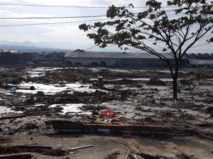 IDI Sulteng: Korban Tewas Gempa Palu 30 Orang