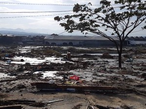 IDI Sulteng: Korban Tewas Gempa Palu 30 Orang