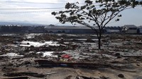 Kepala Pusat Data Informasi dan Humas BNPB Sutopo Purwo Nugroho lewat akun Twitter-nya mengatakan terjadi kerusakan cukup parah di pantai Kota Palu setelah terjadinya tsunami. Bangunan hancur dan rata tanah. Istimewa/Dok. BNPB.