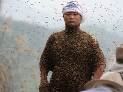 Kumpulan Foto Nyata Terlihat Seperti Editan Photoshop