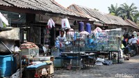 Deretan kios berjejer di Sentra Ikan Hias di daerah Raden Inten, Duren Sawit, Jakarta Timur, tampak buka dan siap menjajakan berbagai barangan dagannya, Sabtu (29/9/2018).