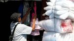 Berkunjung ke Sentra Ikan Hias Raden Inten yang Akan Direnovasi